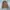 Woolrich Casual Trench coat Pria tan photo 2