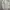 Zip Hoodie Abercrombie Ripped photo 2