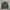 Adidas Casual Track Jacket Pria Green Gray