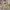 SESSIONS SKATEBOARDS CAMOUFLAGE HOODIE photo 1