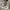 SESSIONS SKATEBOARDS CAMOUFLAGE HOODIE photo 2