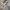 SESSIONS SKATEBOARDS CAMOUFLAGE HOODIE photo 3