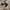 SESSIONS SKATEBOARDS CAMOUFLAGE HOODIE photo 4