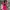 Casual Wanita pink photo 3