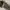 VANS Skater Sneakers Pria gray photo 4