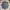 DICKIES GENUINE  CARPENTER photo 1