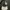 tass guess wanita original photo 1