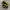 Nike Air Jordan Streetwear Sneakers Pria Black Yellow