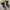 Nike Air Jordan Streetwear Sneakers Pria black yellow photo 2