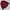 Converse Casual Casual shirt Pria multicolor burgundy photo 4