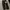 Loose jeans grand groover japanese brand photo 1