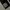 Loose jeans grand groover japanese brand photo 5