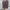 ADIDAS SPEZIAL  photo 5