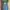One set photo 1