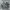 NEWBALANCE 1906L  photo 1