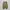 Nike af1 low reigning champ grey photo 5