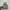 Nike af1 low reigning champ grey photo 2