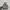 Nike Af1 Low Reigning Champ Grey