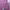Jean-Michel Basquiat Woman Blocktech Parka Jacket Purple szM photo 3