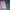 Jean-Michel Basquiat Woman Blocktech Parka Jacket Purple szM photo 5