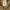 Temptetion work military army hooded jacket unlined Canvas photo 5