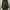 Honeysuckle Rose Fishtail field military army jacket photo 1