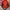 Jacket Puffer Millet photo 1