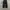 Beslow wide leg red line selvedge denim pants photo 3