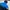Nike Sportswear Windbreaker Pria blue black photo 2