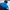 Nike Sportswear Windbreaker Pria Blue Black