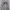 VIVASTUDIO BOLD LOGO photo 1