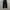 Musinsa standard contrast stitch regular fit denim pants photo 3