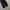 Deep bon voyage two tuck wide pants photo 5