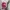 The north face x supreme trekking convertible jacket photo 6