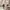 Vintage Pakaian adat Other Wanita white cream photo 2