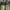 ADIDAS ULTRA BOOST X BAPE GREEN CAMO 40' photo 1