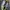 ADIDAS ULTRA BOOST X BAPE GREEN CAMO 40' photo 2