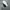 NIKE COURT VISION LOW BLACK WHITE SECOND 42  photo 5