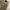 EDWIN Casual Casual pants Pria tan photo 6