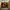 Timberland Icon photo 1