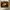 Timberland Icon photo 2