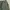 Thisisneverthat SP-Logo Sweatpant - Light Olive photo 3