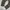 LONGPANTS DICKIES 1939RMS photo 6