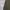 LONGPANTS DICKIES 1939RMS photo 8