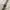 Apple watch photo 4
