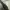 Apple watch photo 3