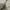 Apple watch photo 5