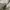 Apple watch photo 6