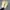 ADIDAS YEEZY BOOST 350 SECOND 42 photo 4