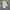 ADIDAS YEEZY BOOST 350 SECOND 42 photo 5